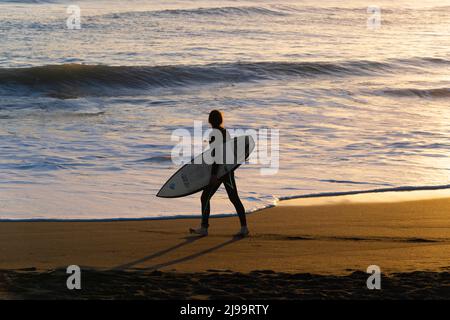 Whanganui Nuova Zelanda - Aprile 9 2022; Surfer in silhouette cammina verso il bordo dell'acqua portando surf back-lit da luce dorata di tramonto sole Foto Stock