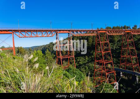 Struttura rossa di Viadotto Makatote, Ponte numero 179, contro il cespuglio neozelandese sulla linea principale del tronco nell'Isola del Nord. Foto Stock