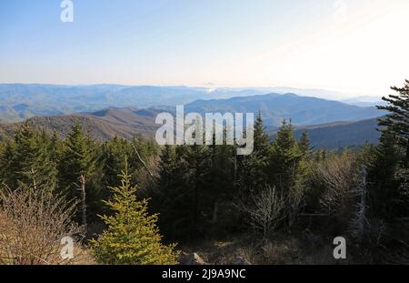 Paesaggio da Clingman Dome - Great Smoky Mountains NP, Tennessee Foto Stock