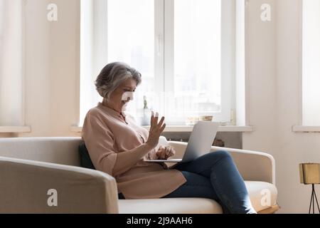 Buona ragazza allegra nonna matura che fa la videochiamata Foto Stock