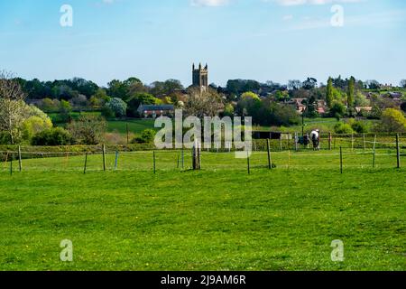 Campagna inglese con la chiesa di Sant'Andrea in lontananza nel villaggio di Whissendine in Rutland, Inghilterra Foto Stock