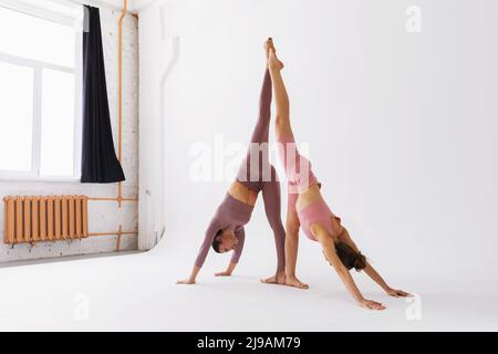 Due praticanti di yoga femminile che fanno una variante di Adho Mukha Svanasana, rivolto verso il basso cane posa con una gamba in su, stanno addestrando nello studio Foto Stock