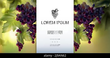 Modello realistico di uva fresca biologica con posto per il testo e. grappoli di uve rosse sane e mature su vettore di fondo sfocato illustrazione Illustrazione Vettoriale