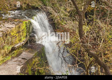 Sgwd Clun-Gwyn (Cascata del prato bianco), Fiume Mellte, vicino Ystradfellte, Parco Nazionale di Brecon Beacons, Powys, South Wales, Regno Unito Foto Stock