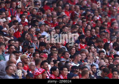 I fan di Liverpool guardano su - Chelsea v Liverpool, The Emirates fa Cup Final, Wembley Stadium, Londra - 14th Maggio 2022 solo per uso editoriale Foto Stock