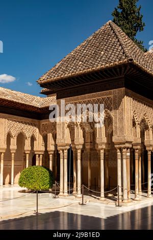 Architettura moresca al patio dei leoni (patio de los Leones), parte dei palazzi Nasrid, Alhambra de Granada, Spagna Foto Stock