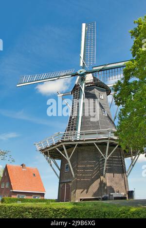 Windmill De Meeuw (il gabbiano) nel villaggio olandese di Garnwerd, provincia di Groningen, Paesi Bassi Foto Stock