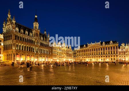 Bruxelles Bruxelles Grote Markt Grand Place illuminata di notte, Belgio Foto Stock