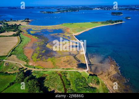 Francia, Morbihan, Golfo di Morbihan, Isola d'Arz, Stagno del mulino e marea mulino di Berno Foto Stock