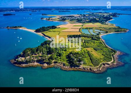 Francia, Morbihan, Golfo di Morbihan, Isola d'Arz Foto Stock