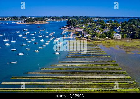 Francia, Morbihan, Golfo di Morbihan, Port Blanc Foto Stock