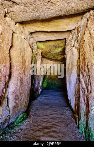 Francia, Morbihan, Golfo di Morbihan, Locmariaquer, il cairn della tabella dei commercianti Foto Stock