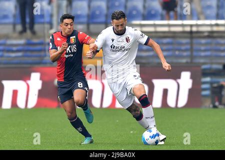 Foto Tano Pecoraro/LaPresse 21 Maggio 2022 - Genova, Italia Sport, CalcioGenoa vs Bologna - Campionato italiano di calcio Serie A TIM 2021/2022 - Stadio Luigi Ferrarisnella foto: amiri, dijcksPhoto Tano Pecoraro/LaPresse 21 maggio 2022 - Genova, Italia Sport, Calcio Genova vs Bologna - Campionato Italiano Serie A 2021/2022 - Luigi Ferraris StadiumIn la foto: amiri, dijcks Foto Stock