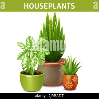 Composizione realistica di piante da casa con vasi di piante verdi e vettore di terra illustrazione Illustrazione Vettoriale