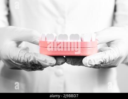 Modello di mandibola dentista con denti. Odontoiatria, igiene orale, concetto di controllo dentale. Medico visitante. Decadimento, prevenzione e rilevamento di malattie gengivali. Foto di alta qualità Foto Stock