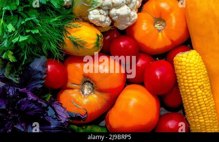 Sfondo di verdure fresche colorate. Verdure mature multicolore da vicino in cucina Foto Stock