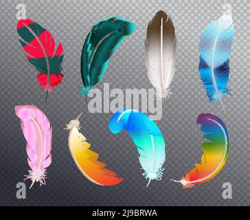 Set colorato e realistico di piume di uccelli dipinte in diversi motivi o colori arcobaleno su immagine vettoriale trasparente di sfondo Illustrazione Vettoriale