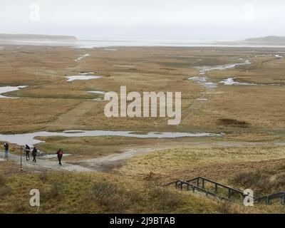 Riserva naturale de Slufter a Texel, Olanda settentrionale, Paesi Bassi. Foto Stock