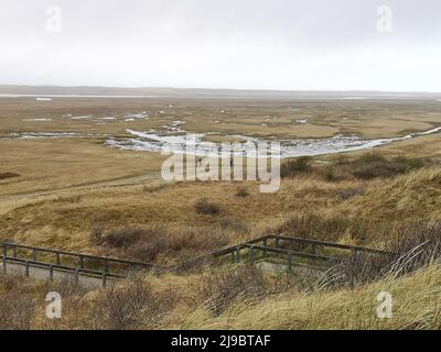 Riserva naturale de Slufter a Texel, Olanda settentrionale, Paesi Bassi. Foto Stock