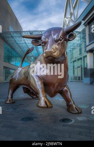L'iconico toro di Birmingham di Laurence Broderick. Foto Stock