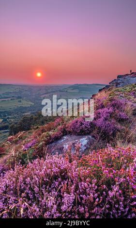 Uomo che guarda il tramonto da Curbar Edge nella zona del Derbyshire del Peak District National Park. Erica viola sulle colline che si abboagliano con il cielo colorato. Foto Stock