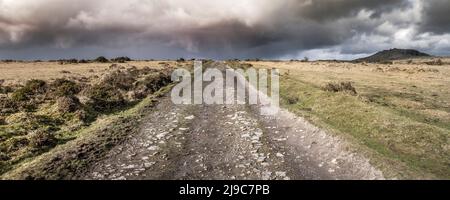 Un'immagine panoramica dei resti di una ferrovia disutilizzata ora utilizzata come percorso ciclabile e a piedi attraverso il Craddock Moor a Bodmin Moor in Cornovaglia. Foto Stock