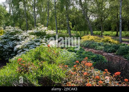 Ariosi Giardini ginocchia Foto Stock