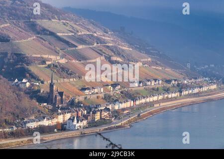 Sole splendente sulla chiesa parrocchiale di San Bonifatio e gli edifici e vigneto su una collina a Lorchhausen attraverso la nebbia in un giorno d'autunno in Germania. Foto Stock