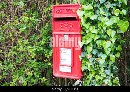 Royal Main red UK Letterbox su un muro di Ivy a Happisburgh, Norfolk del Nord, Regno Unito Foto Stock
