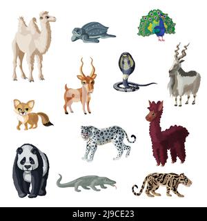 Cartoon colorata collezione di animali asiatici con mammiferi selvatici rettili e. illustrazione vettoriale isolata dall'uccello Illustrazione Vettoriale