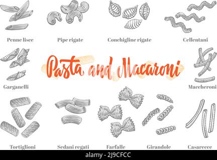 Elementi della cucina italiana insieme di diverse varianti di pasta e. maccheroni nell'illustrazione vettoriale isolata in stile di schizzo Illustrazione Vettoriale