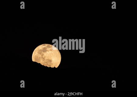 Full Moon Rising Over Hill Side nel Parco Nazionale di Joshua Tree Foto Stock