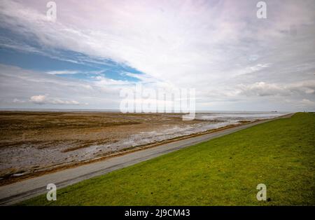 Mulini a vento in un pomeriggio di sole su una diga a Eemshaven, Paesi Bassi Foto Stock