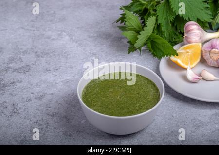 Zuppa di ortica primaverile e selvaggina, cipolla, limone Foto Stock