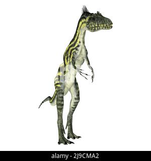 Deltadromeus era un piccolo dinosauro di teropodi carnivori che viveva in Africa durante il periodo cretaceo. Foto Stock