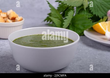 Zuppa di ortica primaverile e selvaggina, cipolla, limone e pane Foto Stock