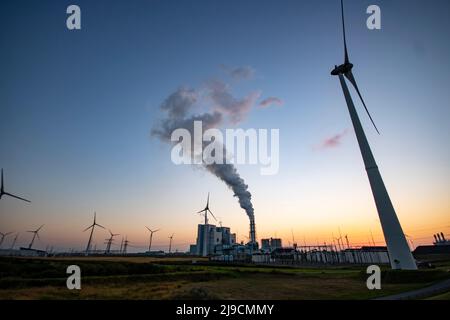 Mulini a vento in un pomeriggio di sole su una diga a Eemshaven, Paesi Bassi Foto Stock