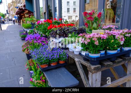 Stoke Newington Church Street, Londra, Regno Unito Foto Stock