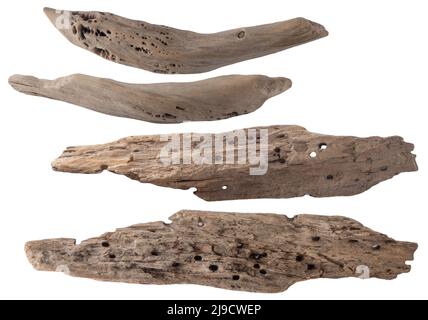 Set di legno secco isolato su sfondo bianco. Pezzi di legno di deriva di mare. Foto Stock