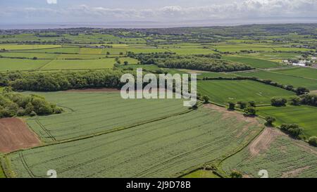 Viste aeree della Camera di sepoltura di St Lythans, vale of Glamorgan, Galles del Sud, Regno Unito. Si prega di credito: Phillip Roberts Foto Stock