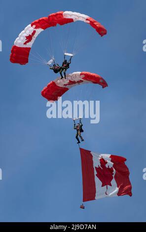 I membri del Canadian Armed Forces Parachute Team, The Skyhawks, volano la bandiera Canadian in una formazione in tre persone sopra Victoria, British Columbia Foto Stock