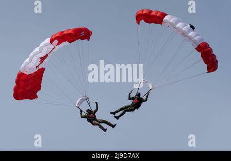 Membri del Canadian Armed Forces Parachute Team, The Skyhawks, sopra Victoria, British Columbia, Canada il 22 maggio 2022. Foto Stock