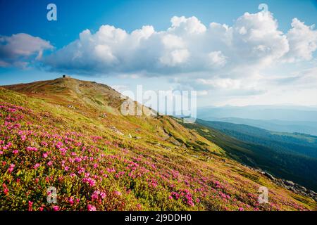 Accattivante scena della valle alpina in presenza di luce solare. Il pittoresco giorno. Ubicazione Posto Carpazi Ucraina, l'Europa. Splendida immagine di sfondo. Excellen Foto Stock