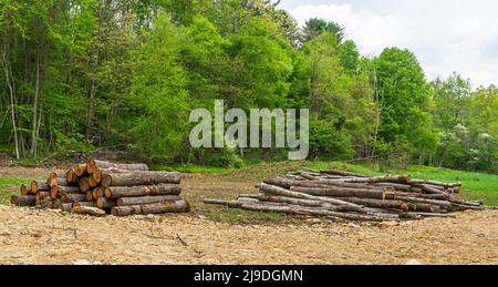 Due mucchi di legname tagliato accatastato in un campo nella contea di Warren, Pennsylvania, Stati Uniti d'America in un giorno di primavera Foto Stock