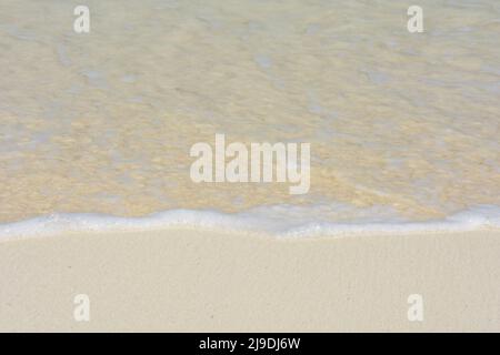 Onde morbide e schiumose che lambiscono la spiaggia di sabbia bianca nei tropici. Foto Stock