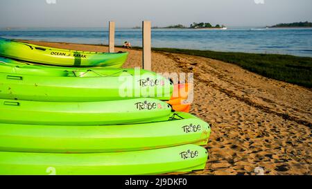 NORWALK, CT, USA - 21 MAGGIO 2022: Kayak verdi accatastati sulla spiaggia di pascoli di vitello con la bella luce dorata della sera Foto Stock