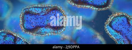 Virus Monkeypox, closeup patogeno, malattia zoonotica infettiva, formato banner di sfondo Foto Stock