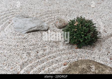 spiritualità e pietra di purezza in cerchi di sabbia fondo spa in giardino zen concetto per il relax concentrazione e meditazione. Foto Stock