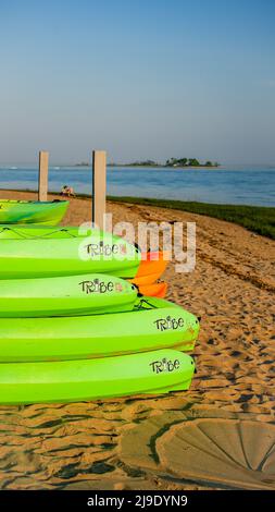 NORWALK, CT, USA - 21 MAGGIO 2022: Kayak verdi accatastati sulla spiaggia di pascoli di vitello con la bella luce dorata della sera Foto Stock