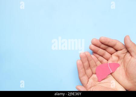 Vista dall'alto del ritaglio del fegato di tenuta della mano. Cura e protezione della salute del fegato, consapevolezza dell'epatite e concetto di trapianto d'organo. Foto Stock